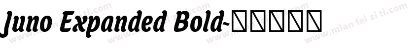 Juno Expanded Bold字体转换